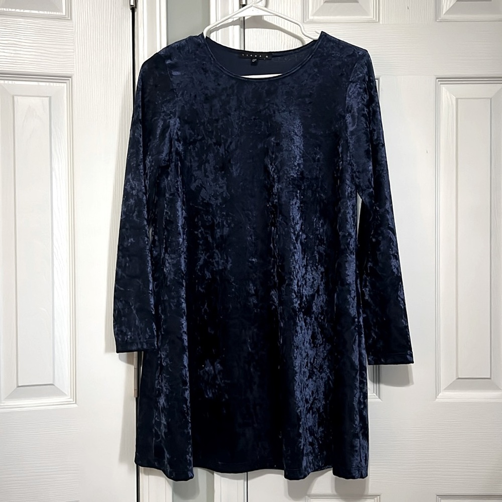 Tiana B. Velvet-like Petite dress